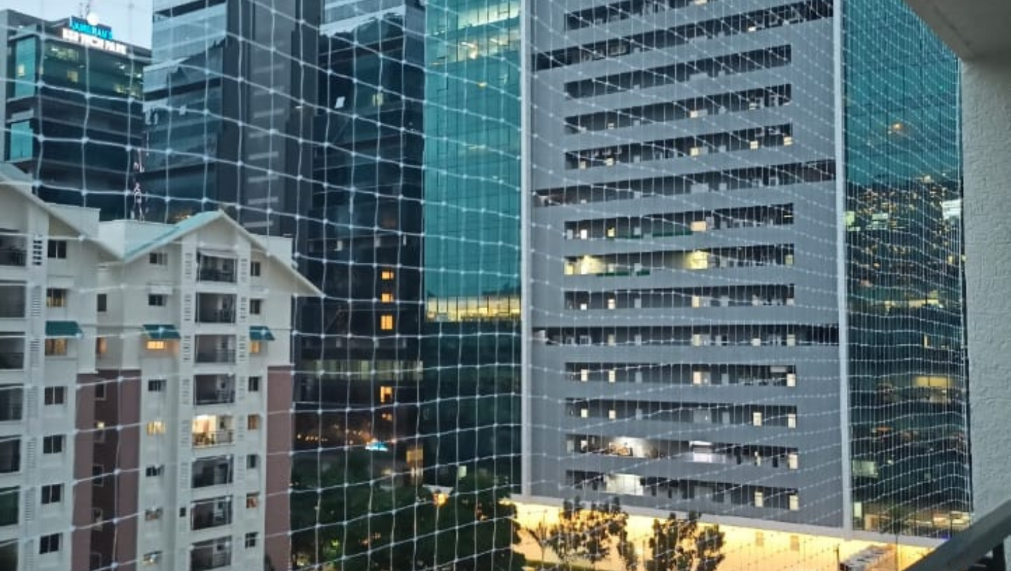 Humane Bird Protection