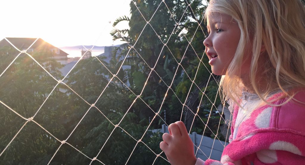 Children Safety Nets Service